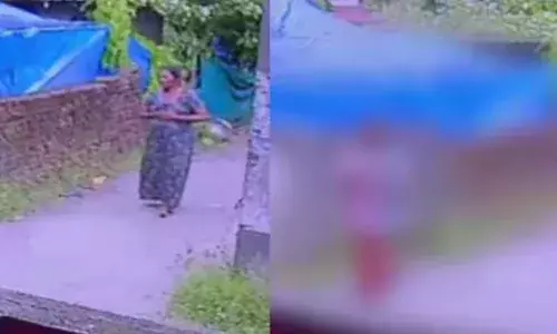 വഴിയിൽ നില്‍ക്കുന്നതിനിടെ വീട്ടമ്മയെ ആക്രമിച്ചു; കോടാലി കൊണ്ട് നിലത്തടിച്ചിട്ടു; വീഴ്ന്നിട്ടും മർദ്ദനം തുടർന്നു; പ്രതി അറസ്റ്റിൽ