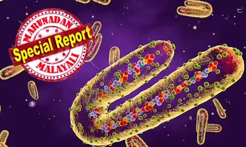 മൂന്ന് മഹാരോഗങ്ങള്‍ ഒരുപോലെ കത്തിപടരുന്നു; പതിനേഴ് രാജ്യങ്ങളില്‍ പടര്‍ന്ന മരണ വൈറസുകളില്‍ കണ്ണില്‍ നിന്ന് രക്തം വരുന്ന നിപ്പയേക്കാള്‍ അപകടകാരിയായ മാര്‍ബറോ വൈറസും; ജാഗ്രതയില്ലെങ്കില്‍ മരണം ഉറപ്പ്