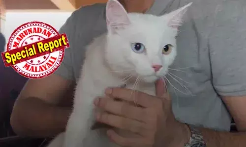 ബ്രസല്‍സില്‍ നിന്ന് കൊച്ചിയിലേക്ക് പറന്നെത്തി ഇവ പൂച്ച; മറ്റ് സംസ്ഥാനങ്ങള്‍ക്കൊപ്പം ഈ സേവനം ഇനി കേരളത്തിലും; രാജ്യത്തെ എഴാമത്തെ ആനിമല്‍ ക്വാറന്റൈന്‍ കേന്ദ്രം കൊച്ചി വിമാനത്താവളത്തില്‍ യാഥാര്‍ത്ഥ്യമായി; ആനിമല്‍ ക്വാറന്റൈനിനെ അറിയാം