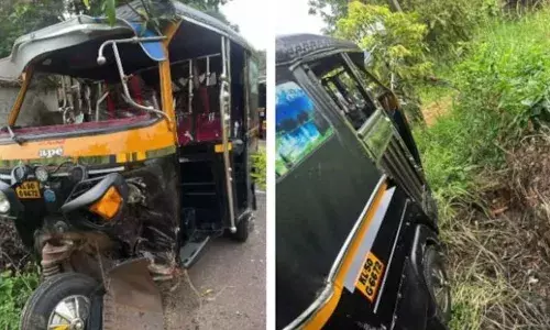 പാലക്കാട് ഓട്ടോറിക്ഷ മറിഞ്ഞ് അപകടം; സംഭവം സ്കൂളിൽ നിന്നും കുട്ടികളുമായി മടങ്ങവെ; ഡ്രൈവർക്കും നാല് കുട്ടികൾക്കും പരിക്ക്