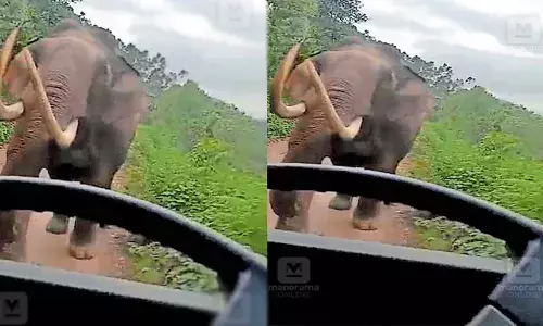 സ്‌കൂള്‍ ബസിനു നേരെ പാഞ്ഞടുത്ത് പടയപ്പ; തുമ്പിക്കൈ ഉയര്‍ത്തി പാഞ്ഞടുത്തതോടെ അലറിക്കരഞ്ഞ് കുട്ടികള്‍: രക്ഷയായത് ഡ്രൈവറുടെ മനസാന്നിധ്യം