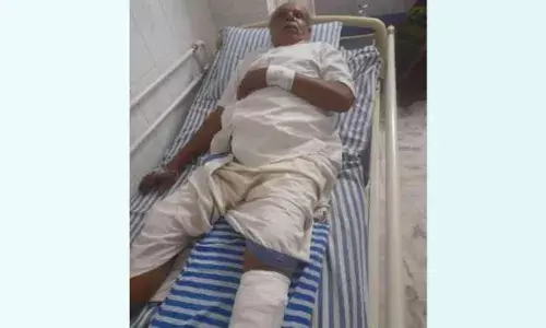 കാട് വെട്ടിത്തെളിക്കുന്നതിനിടെ കാട്ടുപന്നിയുടെ ആക്രമണം; വയോധികന് ഗുരുതര പരിക്ക്; സംഭവം ആലപ്പുഴയിൽ