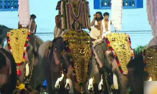 ആനകള്‍ തമ്മില്‍ മൂന്ന് മീറ്റര്‍ അകലവും, ആളുകളും ആനയും തമ്മിലുള്ള എട്ട് മീറ്റര്‍ അകലവും പാലിച്ചില്ല; ആനകളുടെ സമീപത്തുകൂടി തീവെട്ടിയുമായി പേയി; ആന എഴുന്നള്ളപ്പില്‍ ഹൈക്കോടതി മാനദണ്ഡം പാലിക്കത്തതില്‍ തൃപ്പൂണിത്തുറ പൂര്‍ണത്രയീശ ക്ഷേത്ര ഭരണസമിതിക്കെതിരെ കേസെടുത്ത് വനംവകുപ്പ്