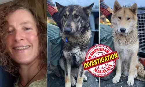 പതിവായി കുടുംബ കലഹം; കുറച്ചുദിവസം ദമ്പതികൾ വേർപിരിഞ്ഞ് കഴിഞ്ഞു; തർക്കം രൂക്ഷമായി; പക ഉള്ളിലൊതുക്കി ഭർത്താവ്; ഭാര്യയേയും രണ്ട് വളർത്തുനായകളേയും വെറുതെവിട്ടില്ല; അതിക്രൂരമായി കൊന്ന് കുഴിച്ച് മൂടി; 71കാരനെ പോലീസ് അറസ്റ്റ് ചെയ്തു; ഞെട്ടിപ്പിക്കുന്ന സംഭവം അമേരിക്കയിൽ!