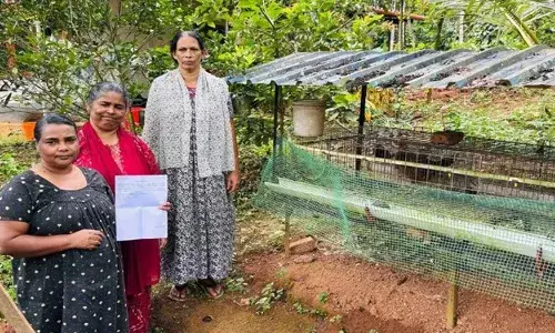 കോഴിയും കൂടും പദ്ധതിയുടെ മറവില്‍ വായ്പാത്തട്ടിപ്പ്; ജപ്തി നോട്ടീസ് കണ്ട് ഞെട്ടി കുടുംബശ്രീ അംഗം