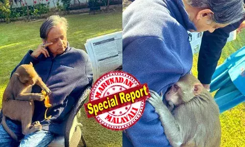 ഇവനൊരു എക്സ്ട്രാ ഓർഡിനറി മങ്കിയാണ്; എന്നെ കണ്ടതും ഓടിയെത്തി; മടിയിൽ ചാടി കയറി; രണ്ട് വാഴപ്പഴം കഴിച്ചു; കുറച്ച് നേരം ഞെഞ്ചിൽ തലചായ്ച് കിടന്നു; ഒരു കുഞ്ഞിനെപ്പോലെ തോന്നി; പിന്നെ എവിടെയോ ഇറങ്ങിയോടി; സമാധാനപരമായ ഒരു കൂടിക്കാഴ്ച യെ കുറിച്ച് ശശിതരൂർ; ചിത്രങ്ങൾ വൈറൽ!