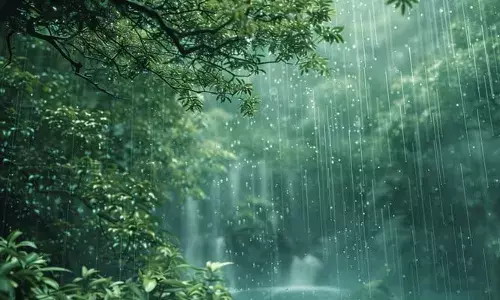 ഒറ്റപ്പെട്ട പ്രദേശങ്ങളില്‍ ഇടത്തരം മഴയ്ക്ക് സാധ്യത; കേരള തീരത്തു മത്സ്യബന്ധനത്തിനു തടസ്സമില്ല