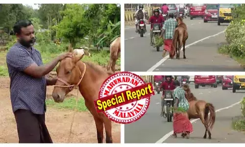 എംസി റോഡിൽ അടിച്ചുപൂസായി കുട്ടി കുതിരയുമായി നോട്ടക്കാരൻ; തലങ്ങും വിലങ്ങും വാഹനങ്ങൾ ചീറിപോകുന്നതും ശ്രദ്ധിക്കുന്നില്ല; കൂടെ ഉപദ്രവവും; നോക്കി നിന്ന് ആളുകൾ; സങ്കടം സഹിക്കാൻ വയ്യാതെ വിറ്റയാൾ; കുതിരയെ തിരികെ വാങ്ങി; നിങ്ങൾ ചെയ്തത് നന്മയെന്ന് നാട്ടുകാർ; ദൃശ്യങ്ങൾ വൈറൽ!