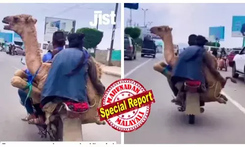 എന്നെ ഒന്ന് മരുഭൂമി വരെ ഡ്രോപ്പ് ചെയ്യാമോ..; ഒട്ടകത്തെ ബൈക്കിന് നടുവിൽ ഇരുത്തി കുതിച്ചുപാഞ്ഞ് യുവാക്കളുടെ സാഹസികയാത്ര; കണ്ടുനിന്നവർ വാ പൊത്തി; ഹബീബി വെൽക്കമെന്ന് നാട്ടുകാർ; വീഡിയോ വൈറൽ; അമ്പരന്ന് സോഷ്യൽ മീഡിയ!