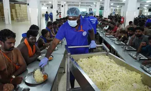 ശബരിമലയില്‍ തീര്‍ഥാടകസംഘങ്ങള്‍ക്ക് അന്നദാന മണ്ഡപത്തില്‍ പ്രത്യേക സൗകര്യം; ആറു ലക്ഷത്തോളം പേര്‍ക്ക് സൗജന്യ ഭക്ഷണം നല്‍കി