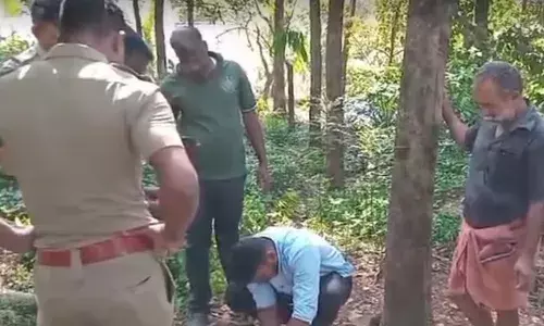 മൂന്ന് ആടുകളെ അജ്ഞാത മൃഗം ആക്രമിച്ച് കൊന്നു; കുടിയാന്മല പുലി ഭീതിയില്‍