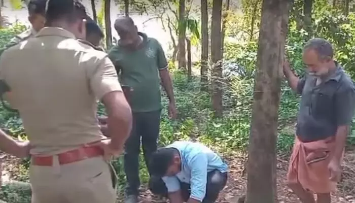 മൂന്ന് ആടുകളെ അജ്ഞാത മൃഗം ആക്രമിച്ച് കൊന്നു; കുടിയാന്മല പുലി ഭീതിയില് മൂന്ന് ആടുകളെ അജ്ഞാത മൃഗം ആക്രമിച്ച് കൊന്നു; കുടിയാന്മല പുലി ഭീതിയില്