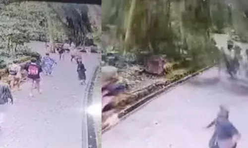 സൂവിൽ മങ്കിയെ കാണാനെത്തിയ സഞ്ചാരികളുടെ മേൽ വൻ വൃക്ഷം ഒടിഞ്ഞുവീണ് ദുരന്തം; പേടിച്ച് നിലവിളിച്ച് ആളുകൾ; വിനോദസഞ്ചാരികൾക്ക് ദാരുണാന്ത്യം; നിരവധിപേർക്ക് പരിക്ക്; ഞെട്ടലോടെ അധികൃതർ; സംഭവം ബാലിയിൽ