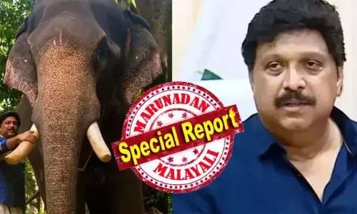 ബാലകൃഷ്ണപിള്ളയുടെ കൈവശമുണ്ടായിരുന്നതില്‍ അഞ്ച് ജോടി ആനക്കൊമ്പും 110 ഗ്രാം ചെറു കഷണങ്ങളും വനംവകുപ്പ് ഏറ്റെടുത്തു; ആനക്കൊമ്പ് ലഭിച്ചതിന്റെ ഉറവിടം അറിയില്ലെങ്കില്‍ കേസെടുത്തു പിടിച്ചെടുക്കുകയാണ് ചെയ്യേണ്ടത്; മന്ത്രി ഗണേഷിനും ആ കൊമ്പ് നഷ്ടമായേക്കും; മന്ത്രി ശശീന്ദ്രന്‍ ചടുല നീക്കങ്ങളില്‍