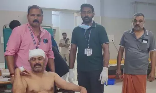 ശബരിമല സന്നിധാനത്ത് കാട്ടുപന്നി പോലീസ് ഉദ്യോഗസ്ഥനെ പിന്നില്‍ നിന്ന് കുത്തി വീഴ്ത്തി; പരുക്കേറ്റത് പയ്യന്നൂര്‍ സ്വദേശി സത്യന്