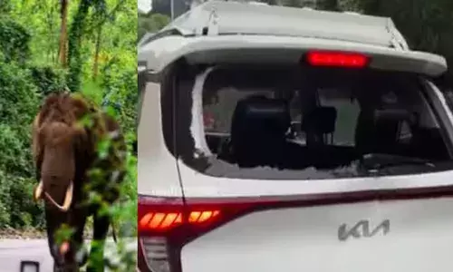 സീരിയല്‍ ഷൂട്ടിങ് കഴിഞ്ഞ് മടങ്ങിയ വാഹനങ്ങള്‍ക്ക് നേരെ പടയപ്പയുടെ പരാക്രമം; രണ്ട് കാറുകള്‍ക്കും ഒരു ബൈക്കിനും കേടുപാട്