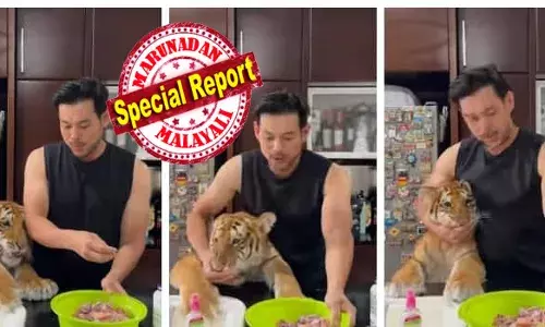 ഒന്ന് അടങ്ങിയിരിക്ക് മോനെ..തരാം; ആഹാരത്തിനായി വാശി പിടിക്കുന്ന കടുവ കുഞ്ഞ്; വിളമ്പി വാരി കൊടുത്ത് യുവാവ്; എല്ലാം അകത്താക്കി ടൈഗർ കബ്; ഒരു പൂച്ചകുട്ടിയെ പോലെ ഇണങ്ങി ഓമന; അമ്പരന്ന് ആളുകൾ; ക്യൂട്ട് ആയിട്ടുണ്ടെന്ന് സോഷ്യൽ മീഡിയ; വൈറൽ വീഡിയോക്ക് പിന്നിൽ!