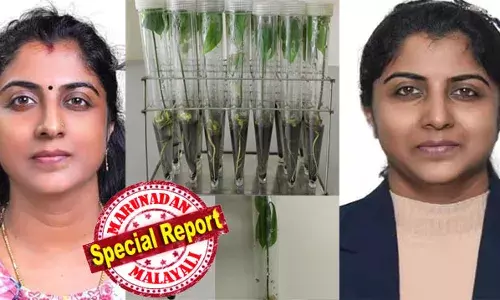 റബര്‍ ചെടികള്‍ വികസിപ്പിക്കാന്‍ ലോകത്ത് ആദ്യമായി ജീന്‍ എഡിറ്റിങ് സാങ്കേതിക വിദ്യ; മലയാളി ശാസ്ത്രജ്ഞയെ അംഗീകരിച്ച് ചൈനീസ് സര്‍ക്കാരും ശാസ്ത്രലോകവും; ഇത് ലോകറാങ്കിങില്‍ ചൈനയെ ഒന്നാമതെത്തിക്കാന്‍ സഹായിക്കുന്ന കണ്ടു പിടുത്തം; പത്തനംതിട്ടക്കാരി ഡോ ജിനു ഉദയഭാനു കൈയ്യടി നേടുമ്പോള്‍