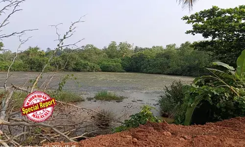 വെട്ടിപ്പിടിക്കുന്നത് 250 ഏക്കറോളം; കോട്ടൂളി തണ്ണീര്‍ത്തടം മണ്ണിട്ട് നികത്തി നശിപ്പിച്ച് കാലിക്കറ്റ് ട്രേഡ് സെന്ററിന്റെ റോഡ് നിര്‍മ്മാണം; സെന്ററിന്റേത് അടക്കം സരോവരത്ത് നിര്‍മ്മിച്ചതെല്ലാം അനധികൃത കെട്ടിടങ്ങളും; അതിക്രമം, പൊളിച്ച് നീക്കാന്‍ നോട്ടീസ് നല്‍കിയ ട്രേഡ് സെന്ററിന്റെ പേരിലും