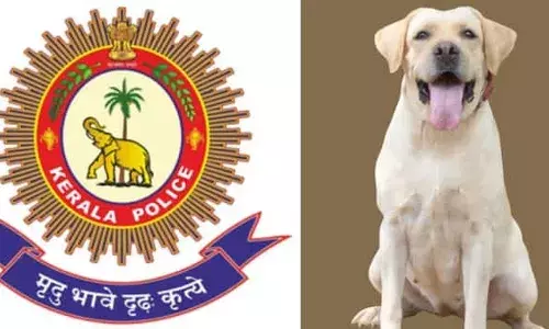 കേരള പോലീസിന്റെ ഭാഗമായിട്ട് എട്ടുവര്‍ഷവും നാലുമാസവും 17 ദിവസവും; ചാവക്കാട് കൊലപാതകം, ചാലക്കുടി ജൂവലറി കവര്‍ച്ചാ എന്നിവ തെളിയിക്കാന്‍ മുഖ്യ പങ്ക് വഹിച്ചു: കേരള പോലീസ് കെ9 ഡോഗ് സ്‌ക്വാഡിലെ ഹണി ഇനി ഓര്‍മ