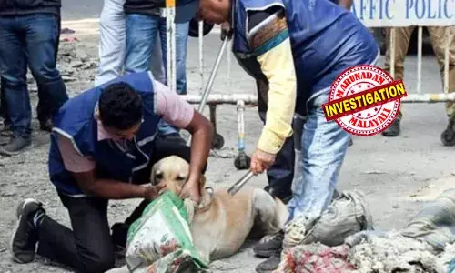 സഹോദരന്റെ മുന്‍ഭാര്യയോട് പ്രണയം;  വിവാഹമോചനത്തിന് ശേഷവും ആവശ്യം നിരസിച്ചു; ഫോണില്‍ ബ്ലോക്ക് ചെയ്തു;  യുവതിയെ കഴുത്ത് ഞെരിച്ച് കൊലപ്പെടുത്തി; മൃതദേഹം പലയിടത്ത് തള്ളി; യുവാവ് അറസ്റ്റില്‍