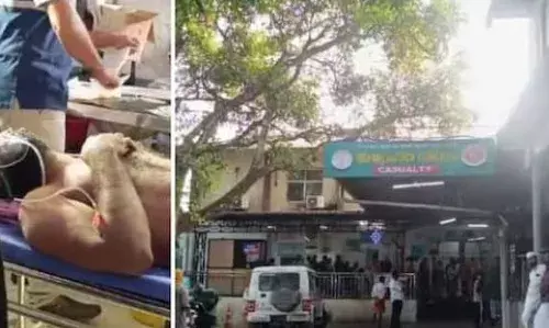 വയനാട്ടിൽ കാട്ടാന ആക്രമണം; നിർമാണ തൊഴിലാളിയുടെ വയറ്റിൽ ആനക്കൊമ്പ് തുളഞ്ഞ് കയറി; ഗുരുതര പരിക്ക്