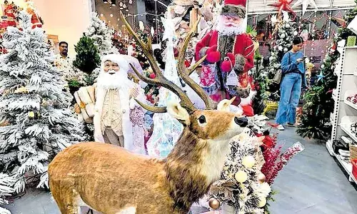 തിരുപ്പിറവിയുടെ ഈരടികള്‍ മുഴങ്ങി; ക്രിസ്തുമസ് രാവ് ഇങ്ങെത്തി; ക്രിസ്തുമസ് ആഘോഷങ്ങള്‍ തുടക്കമായതോടെ വിപണികളും ഉത്സവ സജ്ജം: നൂതന രൂപകല്‍പനകളോടുള്ള എല്‍.ഇ.ഡി നക്ഷത്രങ്ങള്‍ മുതല്‍ വ്യത്യസ്ത കേക്കുളും അലങ്കാര ബലൂണുകളും; ക്രിസ്തുമസ് ആഘോഷമാക്കാന്‍ നാടെങ്ങും ഒരുങ്ങി
