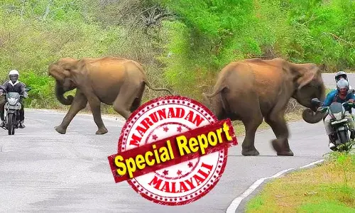 2016 മുതല്‍ 2023 വരെ മാത്രം കേരളത്തില്‍ 55,839 വന്യജീവി ആക്രമണങ്ങള്‍; ഇതില്‍ എട്ട് വര്‍ഷത്തിനിടെ മരിച്ചത് 909 പേര്‍; പരിക്കേറ്റ് കിടപ്പില്‍ കിടക്കുന്നത് 7492 പേര്‍: നഷ്ടപരിഹാരം ലഭിച്ചത് 706 പേര്‍ക്ക് മാത്രം; നഷ്ടപരിഹാരം കിട്ടാതെ നിരവരധി കുടുംബങ്ങള്‍; ദുരിതം വിട്ടുമാറാതെ ജനങ്ങള്‍