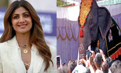 മൂന്നുമീറ്റര്‍ ഉയരവും 800 കിലോ തൂക്കവും; റബ്ബര്‍, ഫൈബര്‍, സ്റ്റീല്‍ എന്നിവ ഉപയോഗിച്ച് നിര്‍മ്മിച്ച ആനയ്ക്ക് 10 ലക്ഷം രൂപ: ക്ഷേത്രത്തിലേക്ക് യന്ത്ര ആനയെ സമര്‍പ്പിച്ച് നടി ശില്‍പ ഷെട്ടി