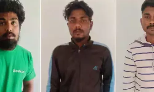 തോട്ടത്തില്‍ കടന്നുകയറി കാപ്പി മോഷണം; കൊണ്ടുപോയത് ഒരു ക്വിന്‍റൽ കാപ്പി; യുവാക്കൾ പോലീസ് പിടിയിൽ; സംഭവം കല്‍പ്പറ്റയിൽ