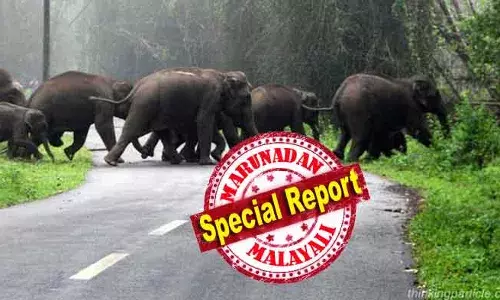 വന്യജീവി ആക്രമണത്തിലെ മരണം സവിശേഷ ദുരന്തം എന്ന വിഭാഗത്തിലാക്കിയത് 9 മാസം മുമ്പ്; പക്ഷേ ചട്ടമുണ്ടാക്കാന്‍ മറന്ന ഭരണ സംവിധാനം; മാര്‍ഗ്ഗ നിര്‍ദ്ദേശമില്ലാത്തതു കൊണ്ട് തന്നെ അര്‍ഹതപ്പെട്ടവര്‍ക്ക് ആ പണം ഇനിയും കിട്ടുന്നില്ല; ദുരന്ത നിവാരണ വകുപ്പിലെ മറ്റൊരു വീഴ്ചയും ചര്‍ച്ചകളില്‍