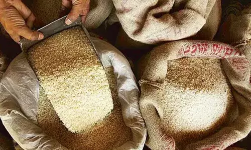 ഭാരത് അരി വീണ്ടും കേരളത്തിലെ വിപണിയിലെത്തി; കിലോയ്ക്ക് 22 രൂപ