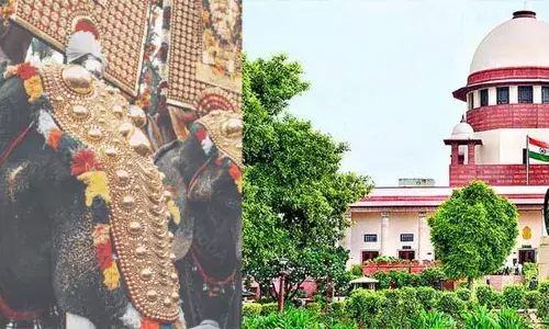 ഹൈക്കോടതി ഉത്തരവ് അപ്രായോഗികം; നിലവിലെ ചട്ടങ്ങള്‍ പാലിച്ചു ദേവസ്വങ്ങള്‍ക്ക് ആനകളെ എഴുന്നള്ളിക്കാം; ആനകള്‍ തമ്മില്‍ മൂന്ന് മീറ്റര്‍ അകലം എങ്ങനെ പാലിക്കാന്‍ സാധിക്കും? ആന എഴുന്നെള്ളിപ്പിലെ ഹൈക്കോടതി ഉത്തരവിന് സ്റ്റേ സുപ്രീംകോടതിയുടെ സ്‌റ്റേ; ഹൈക്കോടതി വിധിക്ക് വിമര്‍ശനം