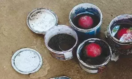 കണ്ണൂരില്‍ വീടിനകത്ത് നിന്ന് മൂന്ന് ഐസ്‌ക്രീം ബോംബുകള്‍ പിടികൂടി; ബോംബ് സൂക്ഷിച്ചയാള്‍ സിപിഎം പ്രവര്‍ത്തകന്‍