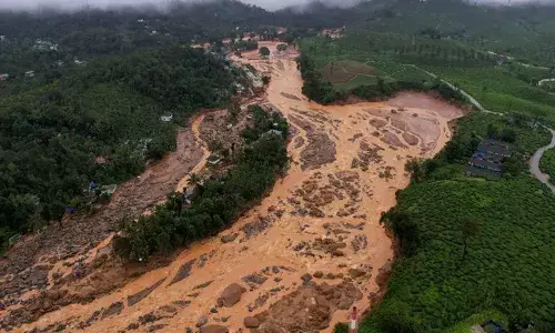 വയനാട് പുനരധിവാസം: ടൗണ്‍ഷിപ്പിലെ ഗുണഭോക്താക്കളുടെ ആദ്യ കരട് പട്ടികയില്‍ 338 കുടുംബങ്ങള്‍; 30 ദിവസത്തിനകം അന്തിമ കരട് പട്ടിക പ്രസിദ്ധീകരിക്കും