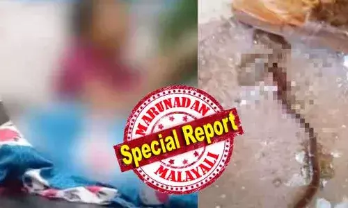 ക്ലാസില്‍ കുട്ടിക്ക് പാമ്പുകടിയേല്‍ക്കുന്നതുവരെ ആരും പാമ്പിനെ കണ്ടിരുന്നില്ല; ഒടുവില്‍ അടിച്ചു കൊന്നു; ചെങ്കല്‍ സ്‌കൂളില്‍ നേഹയ്ക്ക് വിനയായത് കാട് വെട്ടിത്തെളിക്കാത്ത അധികൃതരുടെ അനാസ്ഥ; സ്‌കൂളുകളിലെ സുരക്ഷിതത്വം അതീവ പ്രാധാന്യമുള്ളതാകണം; കടിച്ചത് ചുരുട്ട ആയതു രക്ഷയായി; ചെങ്കല്‍ യുപിഎസില്‍ സംഭവിച്ചത്