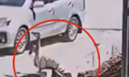 റോഡ് മുറിച്ചുകടക്കാൻ നിൽക്കവേ അപകടം; സ്ത്രീ ഓടയിലേക്ക് തല കീഴായി മറിഞ്ഞുവീണു; തലയ്ക്ക് ഗുരുതര പരിക്ക്; സംഭവം നെയ്യാറ്റിൻകരയിൽ