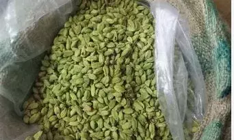 ഓടുന്ന വാഹനത്തിൽ നിന്നും ഏലക്ക മോഷണം; കട്ടെടുത്തത് ഒരു ചാക്ക്; കേസിൽ മൂന്ന് പേർ പിടിയിൽ; സംഭവം ഇടുക്കിയിൽ