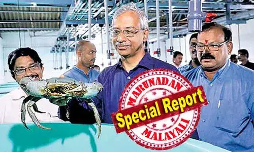 ജിഎസ് ടി തട്ടിപ്പില്‍ വീണാ വിജയനെ കുറ്റവിമുക്തമാക്കിയ വിവാദ അന്വേഷണ റിപ്പോര്‍ട്ട്; മന്ത്രി റിയാസിന്റെ ടൂറിസത്തിന് വേണ്ടി എക്‌സൈസ് മന്ത്രി അറിയാതെ മദ്യ നയം പൊളിച്ചെഴുതാന്‍ ശ്രമിച്ച വിശ്വസ്തന്‍; മുട്ടില്‍ മരം മുറിയില്‍ വിവരാവകാശം നല്‍കിയ ഉദ്യോഗസ്ഥയുടെ ഗുഡ് സര്‍വ്വീസ് വിവാദം; എന്തുകൊണ്ട് ജയതിലകിനെതിരെ സര്‍ക്കാര്‍ നടപടി എടുക്കുന്നില്ല?