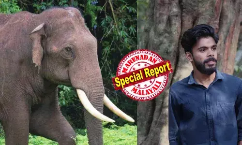 ഇടുക്കിയില്‍ വീണ്ടും കാട്ടാന ആക്രമണം; മുള്ളരിങ്ങാട് സ്വദേശിയായ 24കാരന് ദാരുണാന്ത്യം; കാട്ടാന ആക്രമിച്ചത് പശുവിനെ അഴിക്കാന്‍ തേക്കിന്‍ കൂപ്പില്‍ പോയപ്പോള്‍; മരിച്ചത് വീട്ടിലെ ഏക അത്താണി; ഭീതിയുള്ള സാഹചര്യമെന്ന് പ്രദേശവാസികള്‍