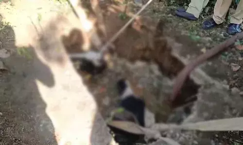 30 അടിയുള്ള സെപ്ടിക് ടാങ്ക് കുഴിയില്‍ വീണ ഗര്‍ഭിണി പശുവിനെ മൂന്നു മണിക്കൂര്‍ പ്രയത്നത്തിനൊടുവില്‍ രക്ഷിച്ചു; പത്തനംതിട്ടയിലെ ഫയര്‍ ഫോഴ്സ് മഞ്ഞുമ്മല്‍ ബോയ്സ് ആയപ്പോള്‍