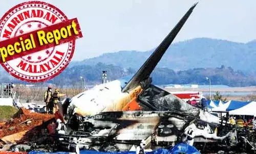 ഇത്രയധികം ഭാരം ചുമന്ന് ആകാശത്ത് കൂടി മണിക്കൂറുകള്‍ പറക്കുന്ന വിമാനം എങ്ങനെ ഒരു പക്ഷിക്ക് തകര്‍ക്കാനാവും? അങ്ങനെയെങ്കില്‍ ആകാശ യാത്ര എങ്ങനെ സുരക്ഷിതമാവും? പക്ഷികളെ തടയാനൊക്കുമോ? കൊറിയന്‍ വിമാന ദുരന്തം ഉയര്‍ത്തുന്നത് അനേകം ചോദ്യങ്ങള്‍