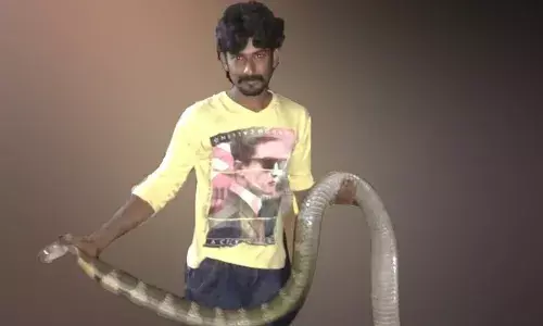 പാമ്പ് പിടിത്തക്കാരന്‍ പാമ്പ് കടിയേറ്റ് മരിച്ചു; സംഭവം പാമ്പ് കടിയേറ്റ് മരിച്ചയാളുടെ വീട് വൃത്തിയാക്കി തിരച്ചില്‍ നടത്തുന്നതിനിടെ