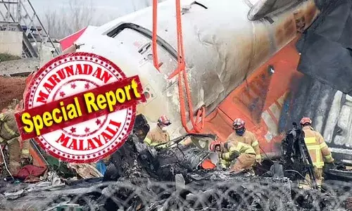 ജേജു എയര്‍ലൈന്‍സിനെ ദുരന്തത്തിലേക്ക് നയിച്ചത് പൈലറ്റിന്റെ പിഴവോ? പക്ഷിക്കൂട്ടം ഇടിച്ചത് ദുരന്തത്തിലേക്ക് വഴിവെച്ചെന്ന വാദം തള്ളി വിദഗ്ധര്‍; വിമാനം ലാന്‍ഡ് ചെയ്തപ്പോള്‍ വേഗത കുറയ്ക്കാന്‍ കഴിയാതെ പോയതും ദുരൂഹം