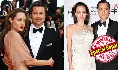 അവസാനമായത് എട്ടു വര്‍ഷം നീണ്ട നിയമ പോരാട്ടത്തിന്; വിവാഹ മോചനത്തോടെ ആഞ്ചലീനയേക്കാള്‍ നാലിരട്ടി സ്വത്തുക്കള്‍ ബ്രാഡ്പിറ്റിന്; ആറ് മക്കള്‍ക്കും താല്‍പ്പര്യം അമ്മയ്‌ക്കൊപ്പം പോകാന്‍; ഹോളിവുഡ് താരദമ്പതികള്‍ വിവാഹ മോചനം നേടുമ്പോള്‍ സംഭവിക്കുന്നത്