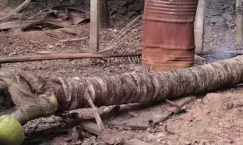 തെങ്ങ് കടപുഴകി ​ദേഹ​ത്ത് വീണ് അപകടം; അഞ്ച് വയസുകാരന് ദാരുണാന്ത്യം; ദാരുണ സംഭവം പെരുമ്പാവൂരിൽ