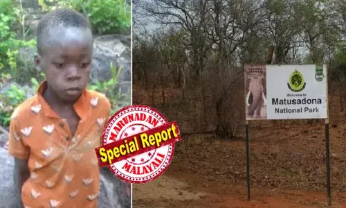 കളിക്കുന്നതിനിടെ വഴിതെറ്റി; കുടുങ്ങിപ്പോയത് കൊടുംകാട്ടിൽ; ആശങ്ക; പേടിപ്പെടുത്തി ആനയുടെ ചിന്നംവിളി; ഇരുട്ടാകുമ്പോൾ സിംഹത്തിന്റെ അലർച്ചൽ; മനഃസാന്നിധ്യം കൈവിടാതെ കുഞ്ഞുമനസ്; അഞ്ച് ദിവസം കാടിനുള്ളിൽ; അവിശ്വസനീയമെന്ന് കേട്ടവർ; വനത്തിനുള്ളിൽ എട്ടുവയസുകാരൻ സർവൈവ് ചെയ്തത് ഇങ്ങനെ!