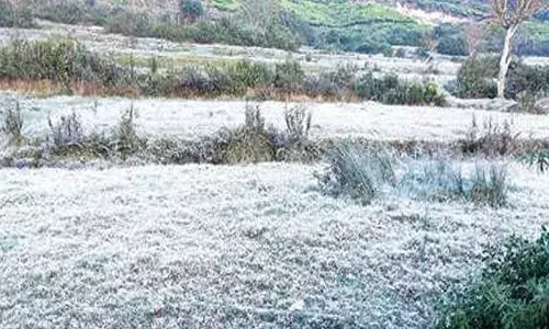 മൂന്നാറില്‍ അതിശൈത്യം തുടരുന്നു; മൈനസില്‍ തൊട്ട് താപനില