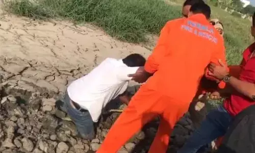 ദിലീപ് ചിത്രത്തിന് ലൊക്കേഷന്‍ നോക്കാനെത്തിയ ആര്‍ട് ഡയറക്ടര്‍ ചതുപ്പില്‍ താഴ്ന്നു; നാട്ടുകാര്‍ കണ്ടതോടെ അഗ്നിരക്ഷാസേന സ്ഥലത്തെത്തി രക്ഷപ്പെടുത്തി