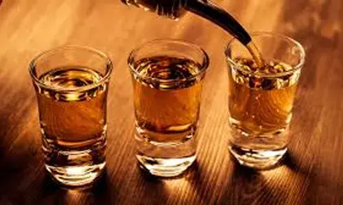 പമ്പയില്‍ ഡ്യൂട്ടി സമയത്ത് കാറിലിരുന്ന് മദ്യപിച്ചു; രണ്ട് ഫയര്‍ഫോഴ്സ് ജീവനക്കാര്‍ക്ക് സസ്പെന്‍ഷന്‍; ഒപ്പം പിടിയിലായ രണ്ടു വനംവകുപ്പ് ജീവനക്കാര്‍ക്കെതിരേയും നടപടി വന്നേക്കും